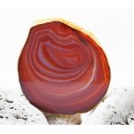 Срез агата с золотой каёмкой 8 - 10см. Красный