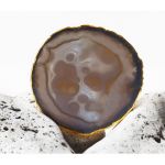 Срез агата с золотой каёмкой 8 - 10см. Серый